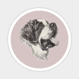 Saint Bernard Dog Portrait Magnet